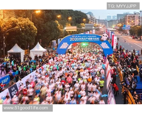 成都排球队防守革新之路探索与实践的深度剖析与展望