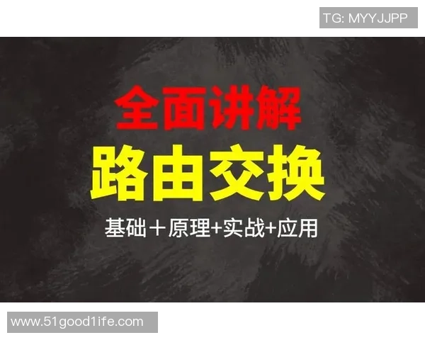 深入分析杭州乒乓球队防反打法的战术特点与实战应用