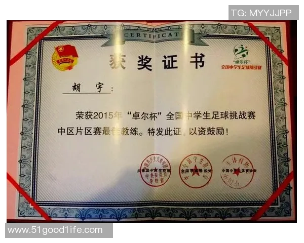 南京足球队挑战赛点评：比赛经验与表现的深度分析与反思